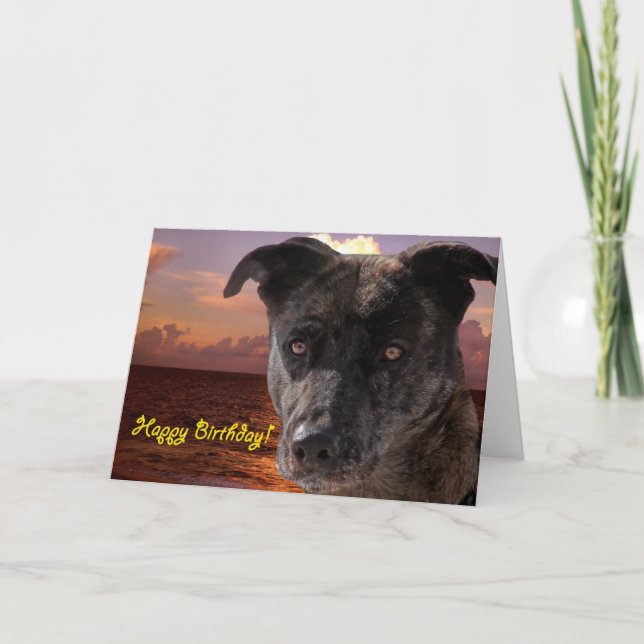 Happy Birthday Dog Card (Front)