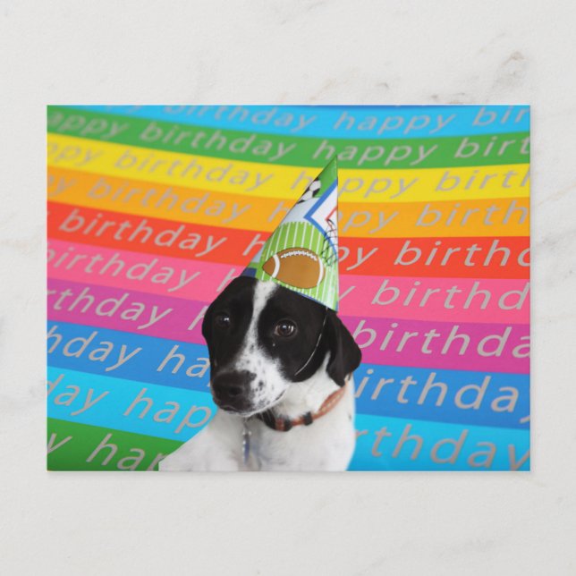 Happy Birthday Dog Colorful Text Banner Postcard (Front)