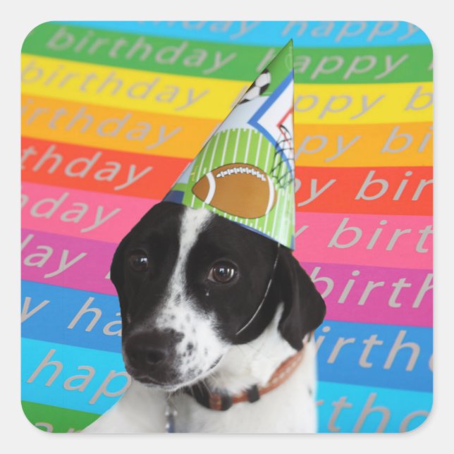 Happy Birthday Dog Colorful Text Banner Sticker (Front)