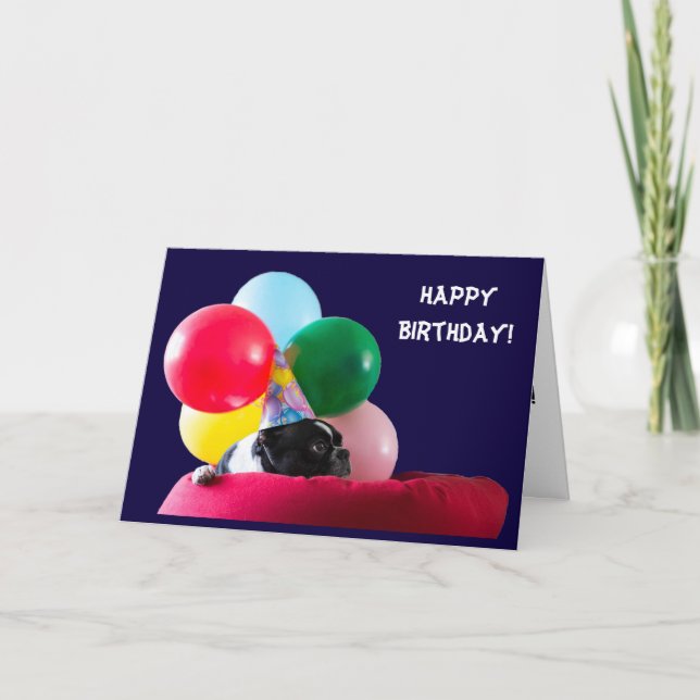 Happy Birthday Dog Humor with Balloons Card (Front)