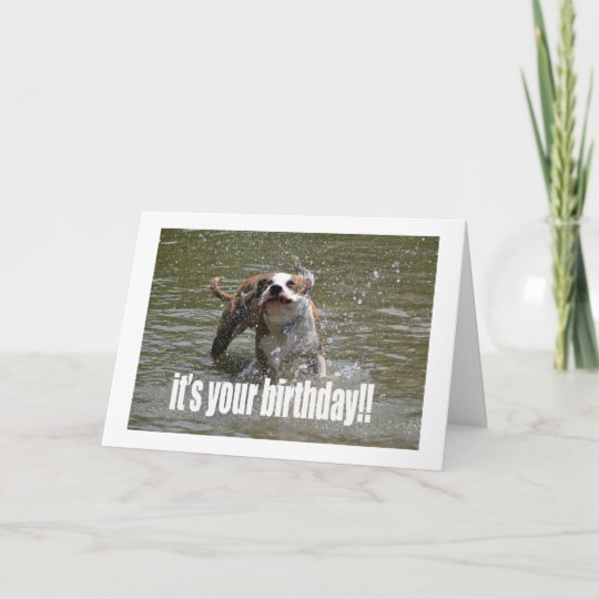 HAPPY BIRTHDAY DOG LOVER CARD | Zazzle.com