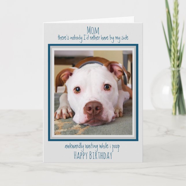 Happy Birthday Dog Mom Funny Cute Dog Poop Card (Front)