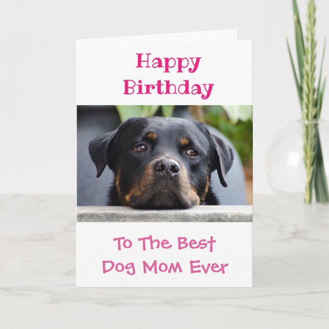 Happy Birthday Dog Mom World's Best Ever Pet Photo Card (Front)
