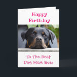 Happy Birthday Dog Mom World's Best Ever Pet Photo Card<br><div class="desc">For Mom's birthday this year,  give her a card from her favorite furry friend -- her beloved dog!  Personalize with your own photo.  The font and colors of the text,  as well as the messages,  are also fully customizable.</div>
