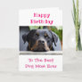 Happy Birthday Dog Mom World's Best Ever Pet Photo Card