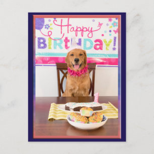 Happy Birthday Dog Party with My Dawg Invitation Postcard