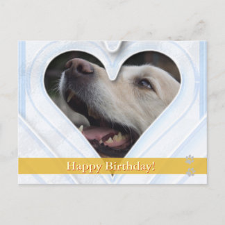 Happy Birthday! - dog postcard