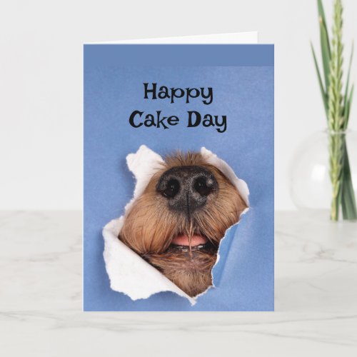Happy Birthday Dog smelling Cake Animal Fun Card