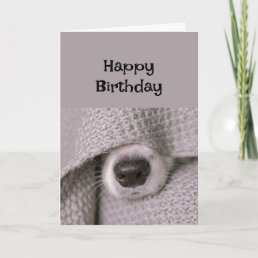 Happy Birthday Dog under blanket in Bed Card