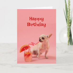 Happy Birthday Dog with Cocktail Drink Celebrate Card