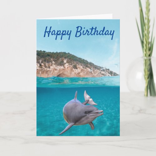 Happy Birthday Dolphin Lover  Card