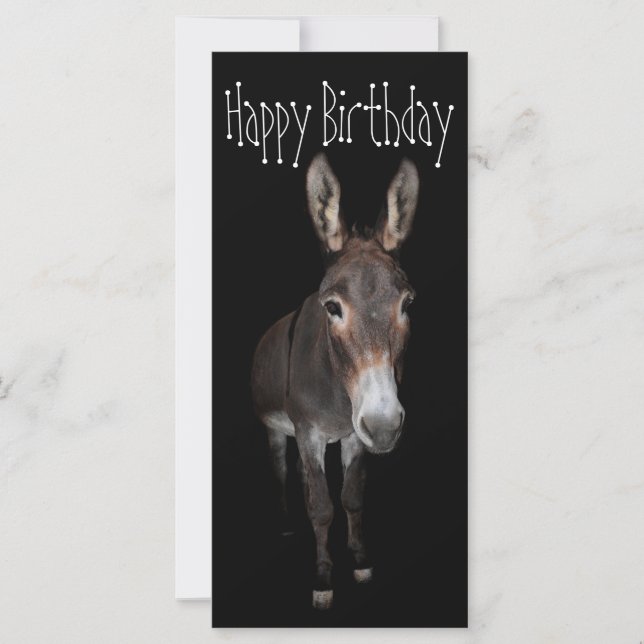 Happy Birthday Donkey Card (Front)