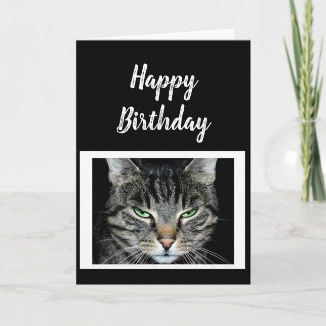 Happy Birthday Don't Believe it's Better Fun Humor Card (Front)