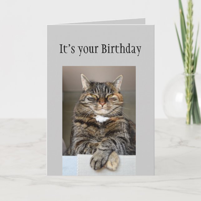 Happy Birthday Don't look You Age Fun Cat Card (Front)