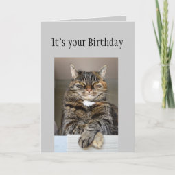 Happy Birthday Don't look You Age Fun Cat Card | Zazzle