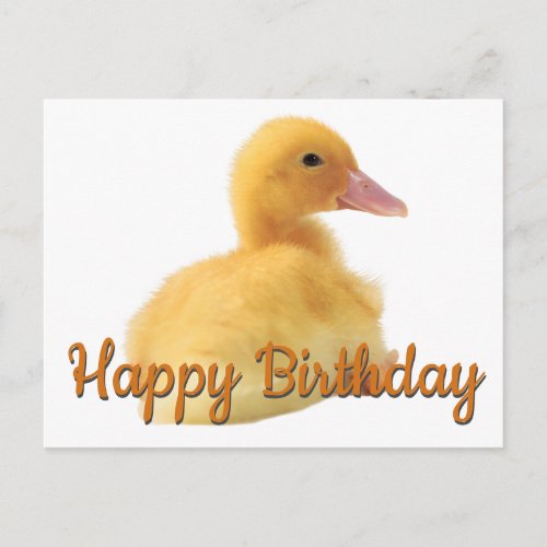 Happy Birthday Duckling Postcard