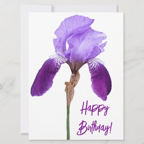 Happy birthday elegant purple floral cute girly    holiday card