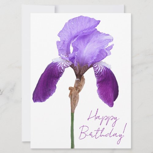 Happy birthday elegant purple iris floral  boho holiday card