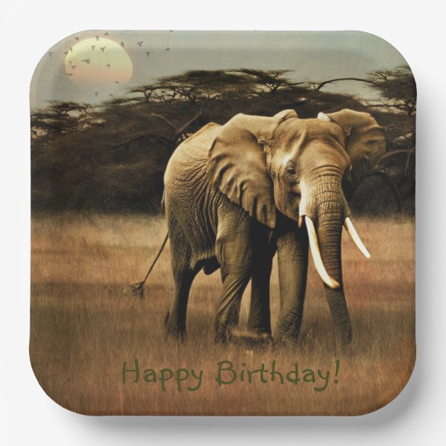 Happy Birthday Elephant Paper Plates (Front)