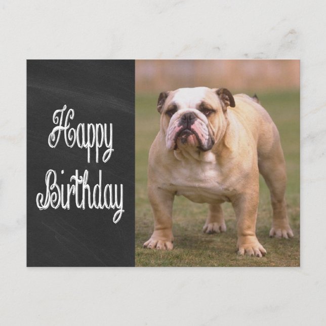 Happy Birthday English Bulldog Chalkboard Postcard (Front)