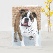 Happy Birthday English Bulldog greeting card | Zazzle