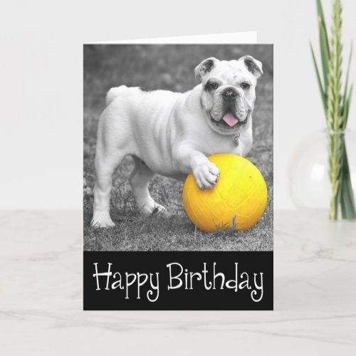 Happy Birthday English Bulldog Puppy Dog Card