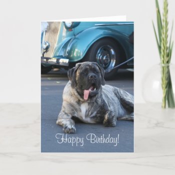 Happy Birthday English Mastiff Greeting Card by ritmoboxer at Zazzle