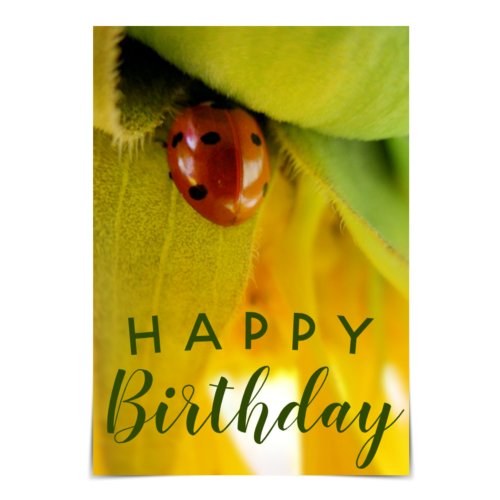 Happy Birthday Enthusiastic Ladybug Card