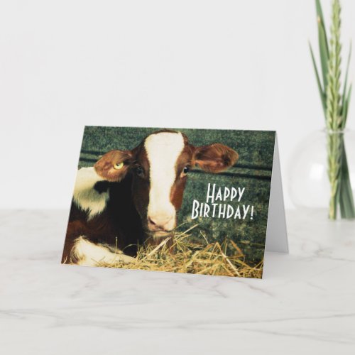 Happy Birthday Farmer _ Brown and White Calf Card