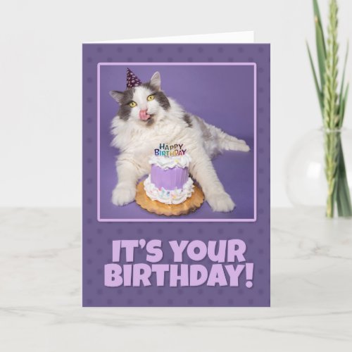 Happy Birthday Fat Cat Licking Face With Cake Holiday Card