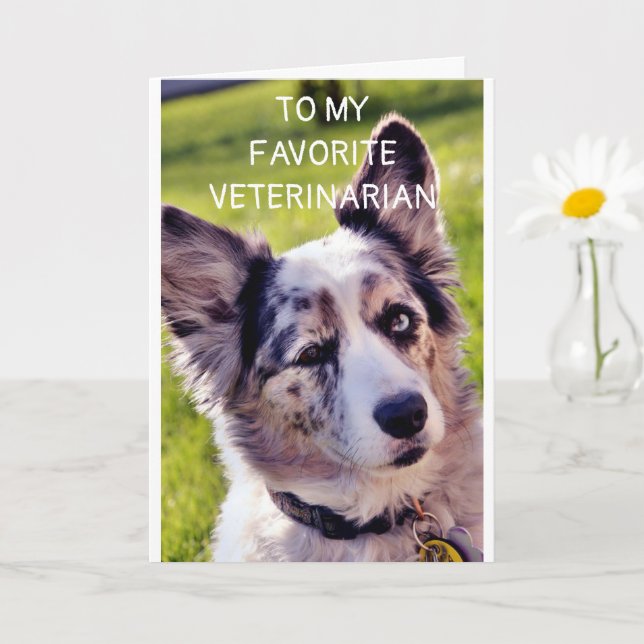 HAPPY BIRTHDAY **FAVORITE VETERINARIAN** CARD (Small Plant)