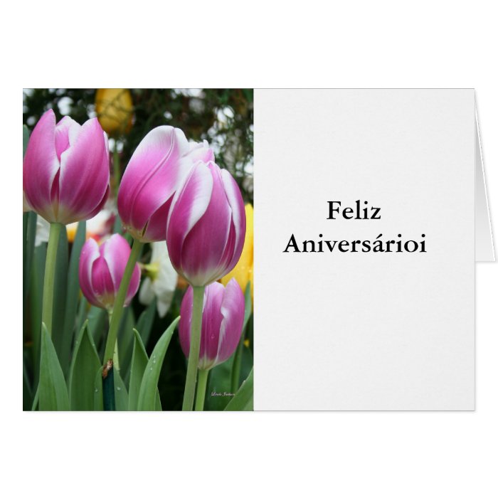 Happy Birthday Feliz Aniversário Greeting Card