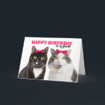 Happy Birthday Female Friend Cute Cats in Pink Bow Holiday Card<br><div class="desc">These two gal pal kitties in matching pink hair ribbons is an adorable way to let your special female friend know that you are wishing her a purr-fect birthday!</div>