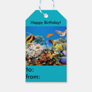 Hy Aquarium Gifts On Zazzle Hy Birthday Fish Aquarium Gift Tag