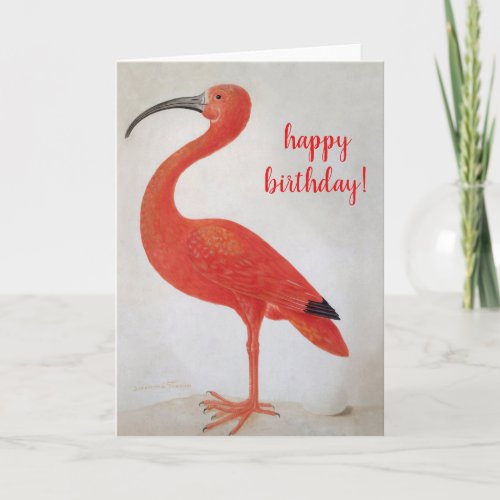 Happy Birthday _ Flamingo Fine Art Greeting Card