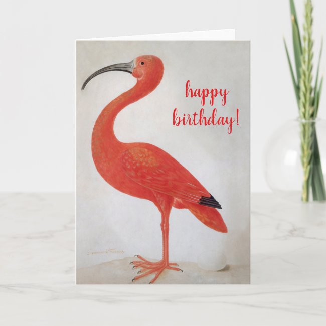Happy Birthday - Flamingo Fine Art Greeting Card