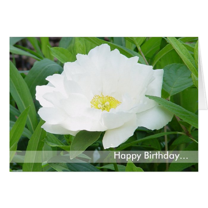 Happy Birthday / Flower Card