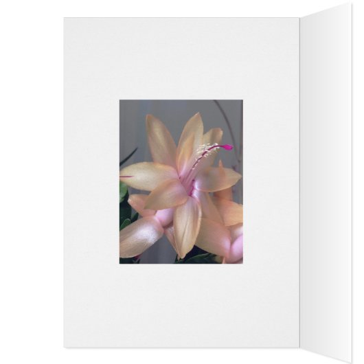 *~* Happy Birthday Flower Photography Customize (Inside (Left))