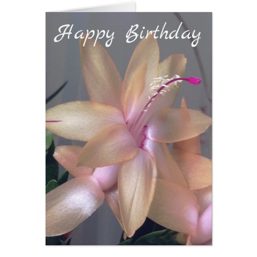 *~* Happy Birthday Flower Photography Customize (Front)