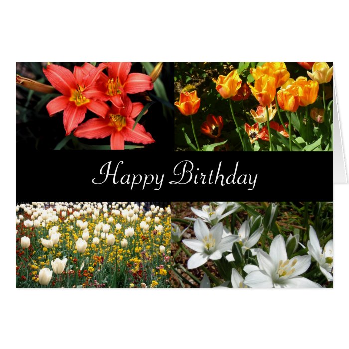 Happy Birthday Flowers  Greeting Cards