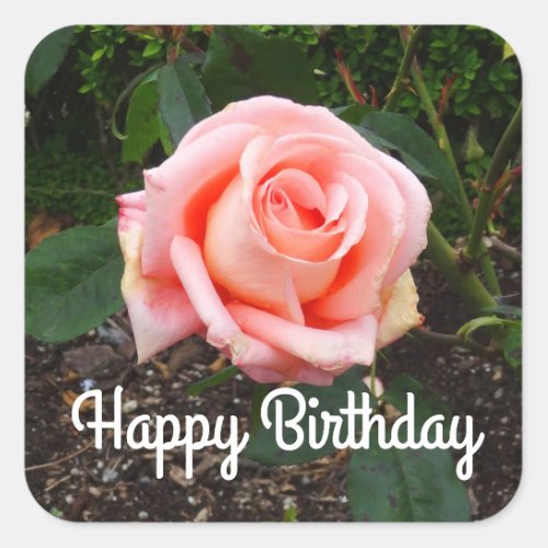 Happy Birthday Folklore Rose 1 Stickers