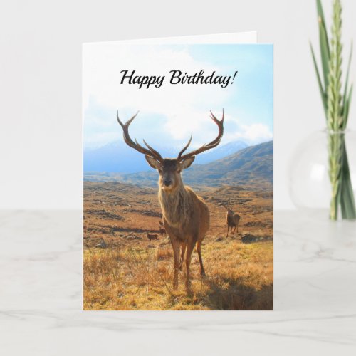 Happy Birthday for a Deer Person Card