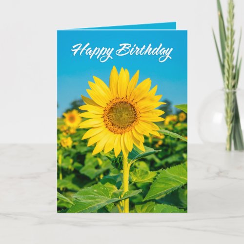 Happy Birthday For Anyone Beautiful Sunflower  Holiday Card