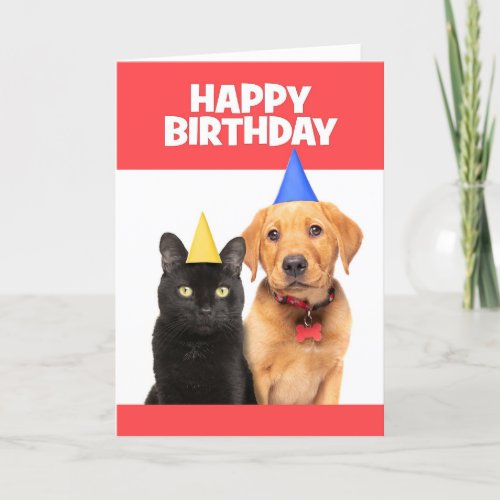 Happy Birthday For Anyone Cat and Dog in Party Hat Holiday Card