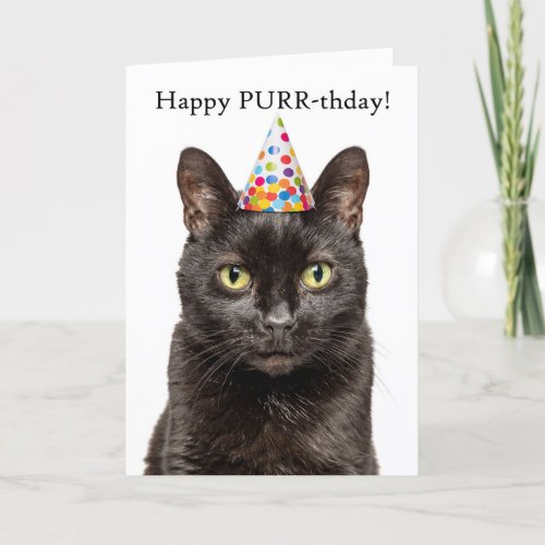 Happy Birthday For Anyone Cat in Party Hat Humor Holiday Card