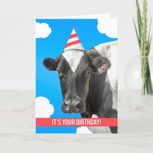 Happy Birthday For Anyone Cow Humor  Holiday Card