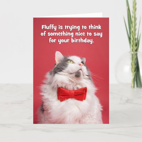 Happy Birthday For Anyone Cut Cat in Tie Humor Holiday Card