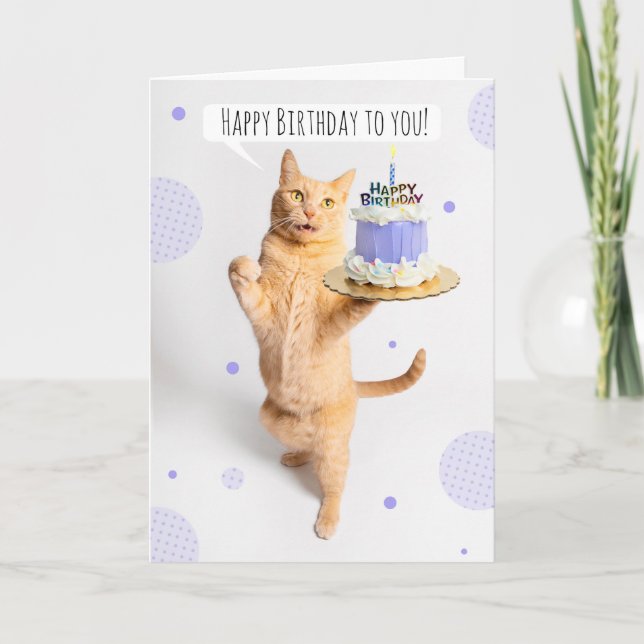 Happy Birthday For Anyone Cute Orange Tabby Cat  Holiday Card (Front)
