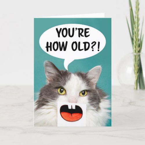 Happy Birthday For Anyone Funny Cat  Holiday Card