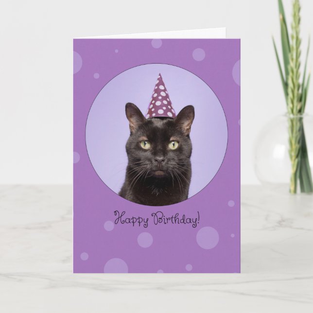 Happy Birthday For Anyone Funny Cat in Party Hat Holiday Card (Front)